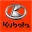 kubota-gear.com