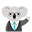 k