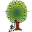a