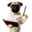 k