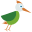 a