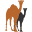 k