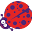 k