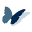 k