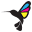 k