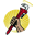 a