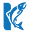 k