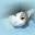 katzen-forum.net