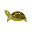 acturtle.com