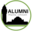 alumnipharmalimoges.fr