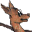 k