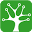 apisnetworks favicon