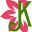 k
