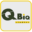 qbiqstudios.com