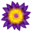 aspforums.net