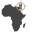 africansurveyors.net