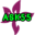 ask55.website