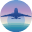 americanvacationmarketing.com