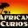 africancurios.co.za