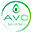 avo-miami.com