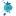 Acacia Carr favicon