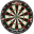 alnwickdarts.com