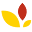 kocoasia.org