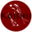 koishii.de