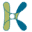 k