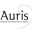 auris.it