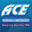 acerestorationservice.com