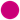 Pumpkin Web Design