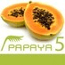papaya CMS